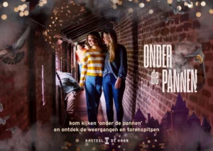 de haar onder de pannen