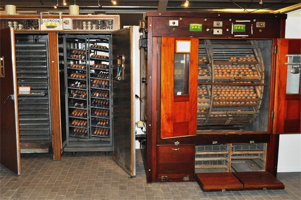 Het Nederlands Pluimveemuseum