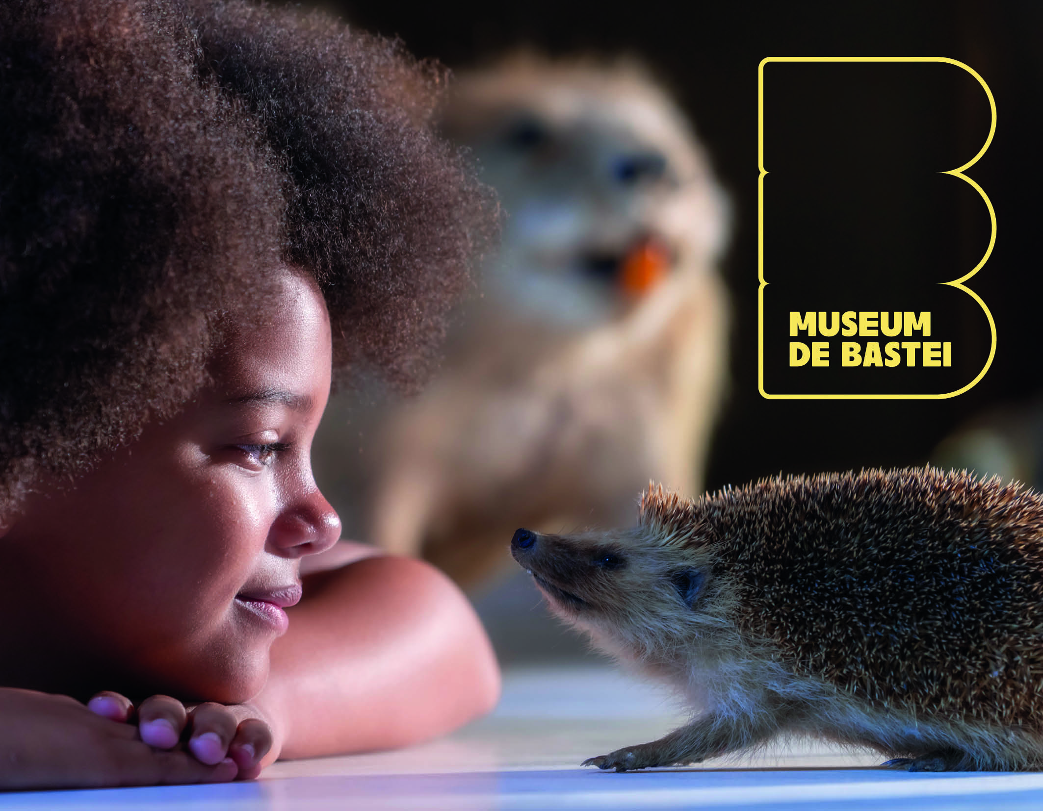 Vier de herfst met Museum De Bastei in Nijmegen!